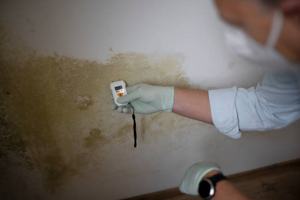 Best Mold Testing  in Cienega Springs, AZ