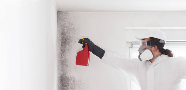 Best Mold Cleaning Services  in Cienega Springs, AZ